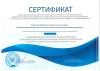 Екатерина Алексеевна Завгородняя