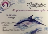 ГАДИРОВА Айнур Захировна