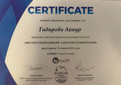 ГАДИРОВА Айнур Захировна